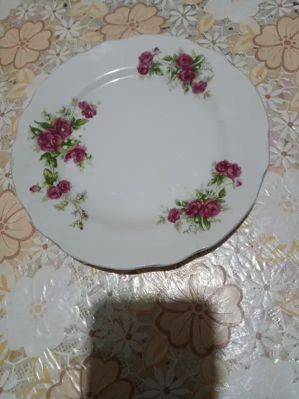 لوازم آشپزخانه|ظروف سرو و پذیرایی|جهرم, |دیوار