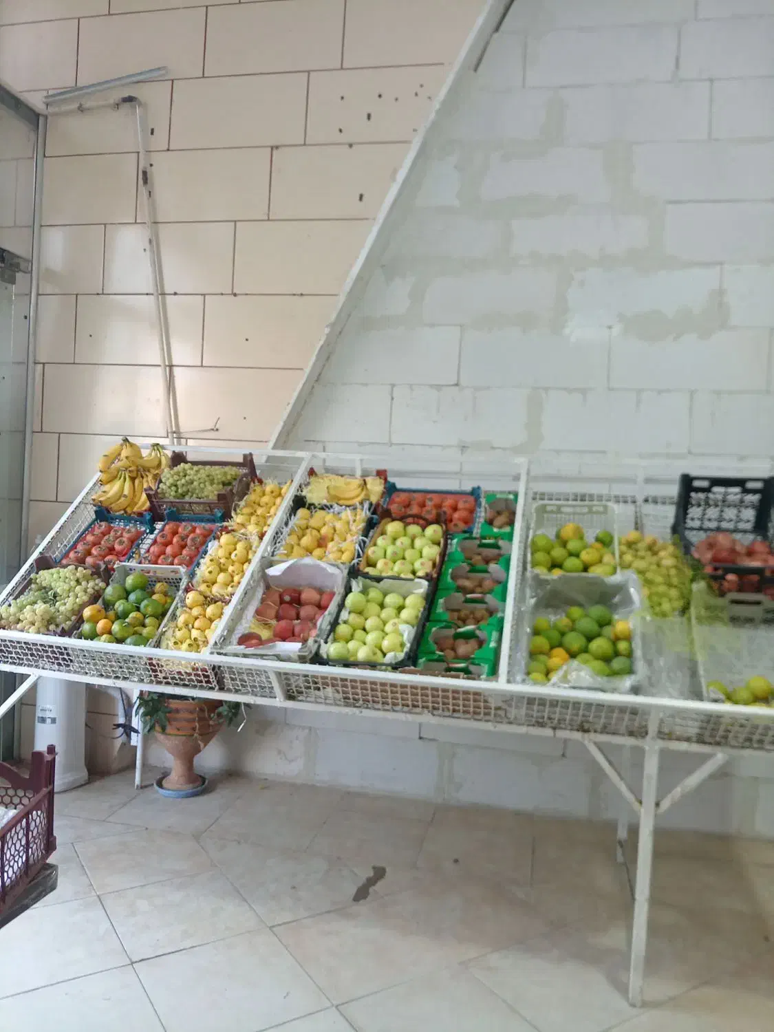 واگذاری میوه فروشی یااجاره مغازه|اجارهٔ مغازه و غرفه|کرمان, |دیوار