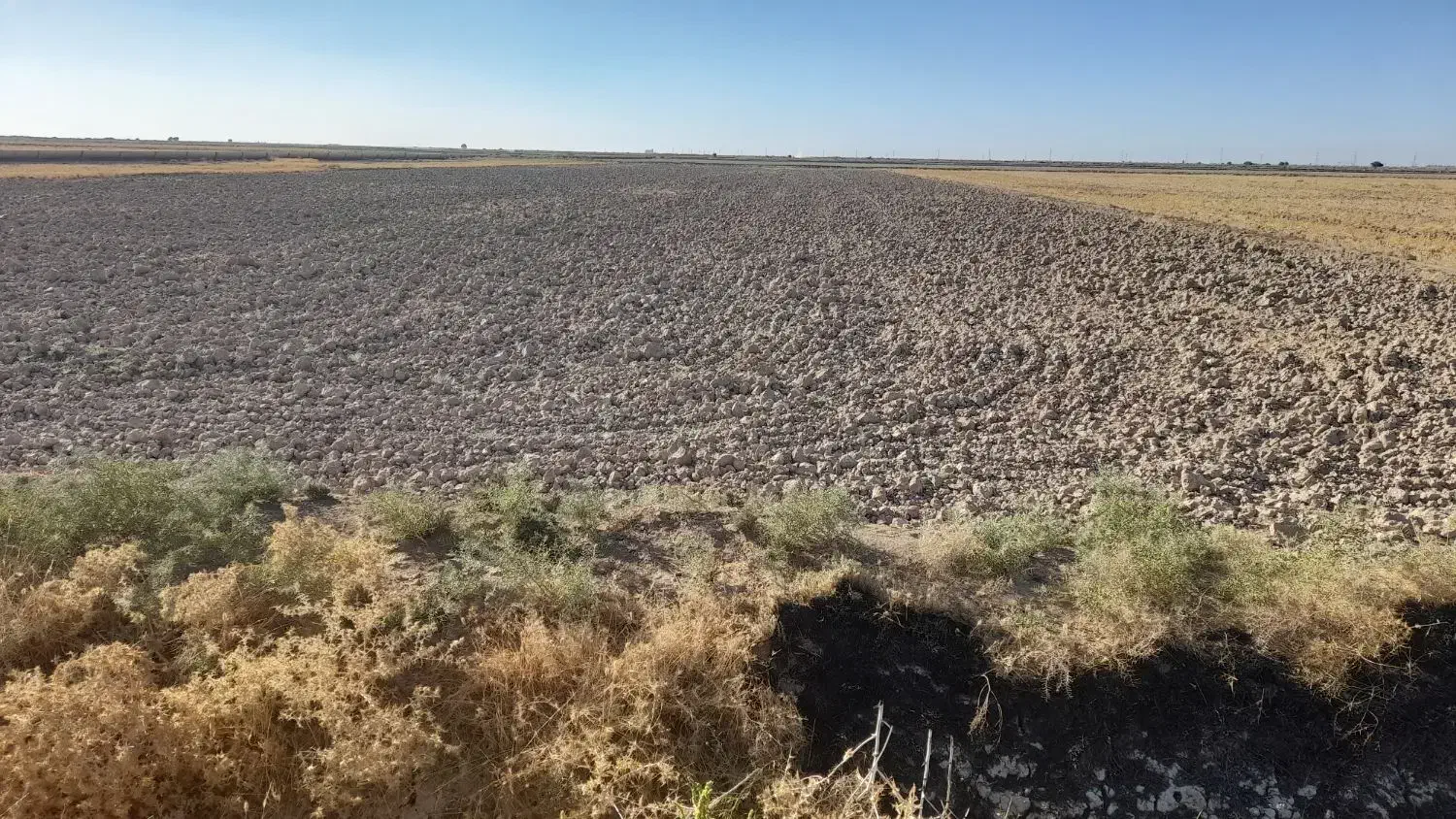 زمین کشاورزی غرق آبی به مساحت ۱.۷ هکتار|فروش دفتر صنعتی، کشاورزی، تجاری|سوسنگرد, |دیوار