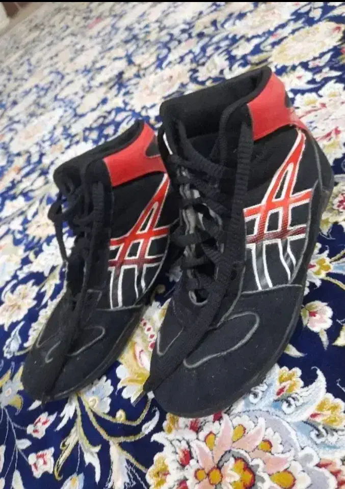 کفش کشتی|تجهیزات ورزشی|قم, قلعه عموحسین|دیوار