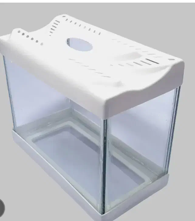 اکواریوم مینی|ماهی|قم, سعادتی|دیوار