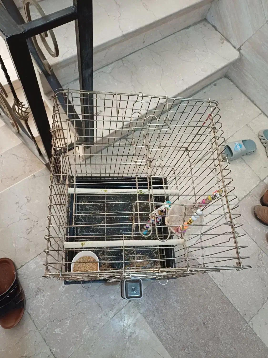 قفس عروس هلندی بزرگ در حد نو|لوازم جانبی حیوانات|نسیمشهر, |دیوار