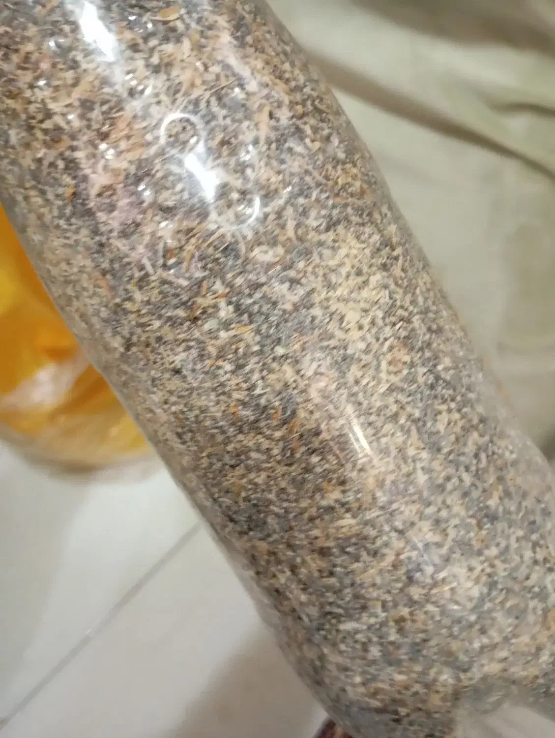 بذر|گل و گیاه طبیعی|تهران, کرمان|دیوار