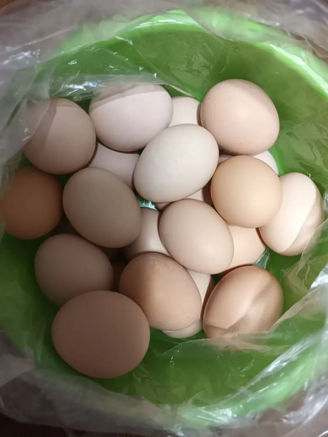 تخم مرغ محلی اصل خونگی تمیز تازه به روز|خوردنی و آشامیدنی|رفسنجان, |دیوار