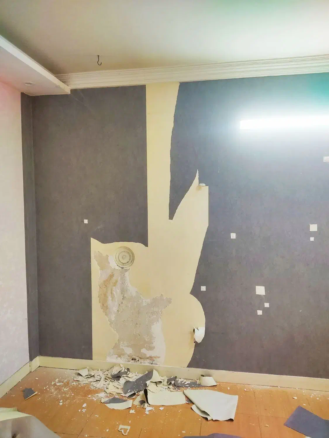 تعویض کاغذ دیواری با گارانتی.زیرسازی حرفه ای،تعمیر|خدمات پیشه و مهارت|شیراز, ارم|دیوار