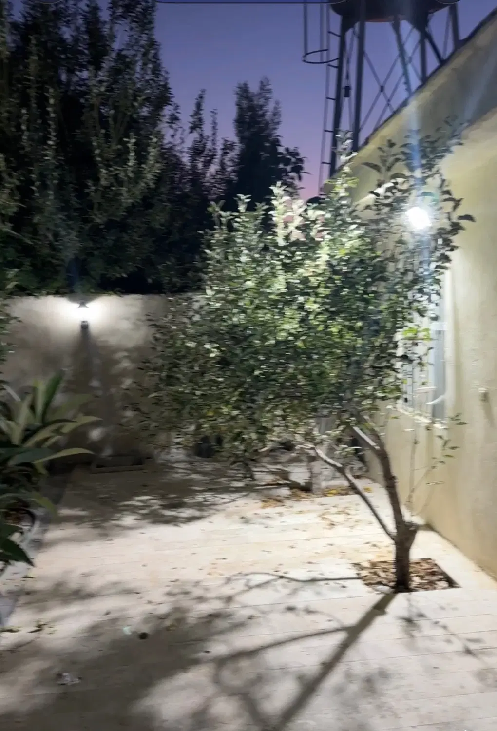 تصویر 2
