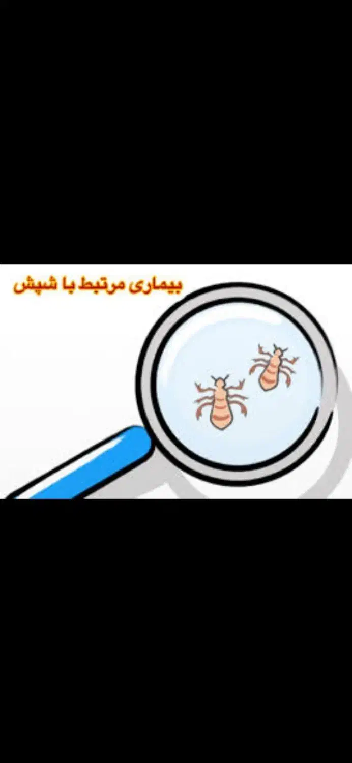 شامپوی ضد شپش و حتی پوچ کننده تخم شپش تضمینی|آرایشی، بهداشتی، درمانی|خرمدره, |دیوار