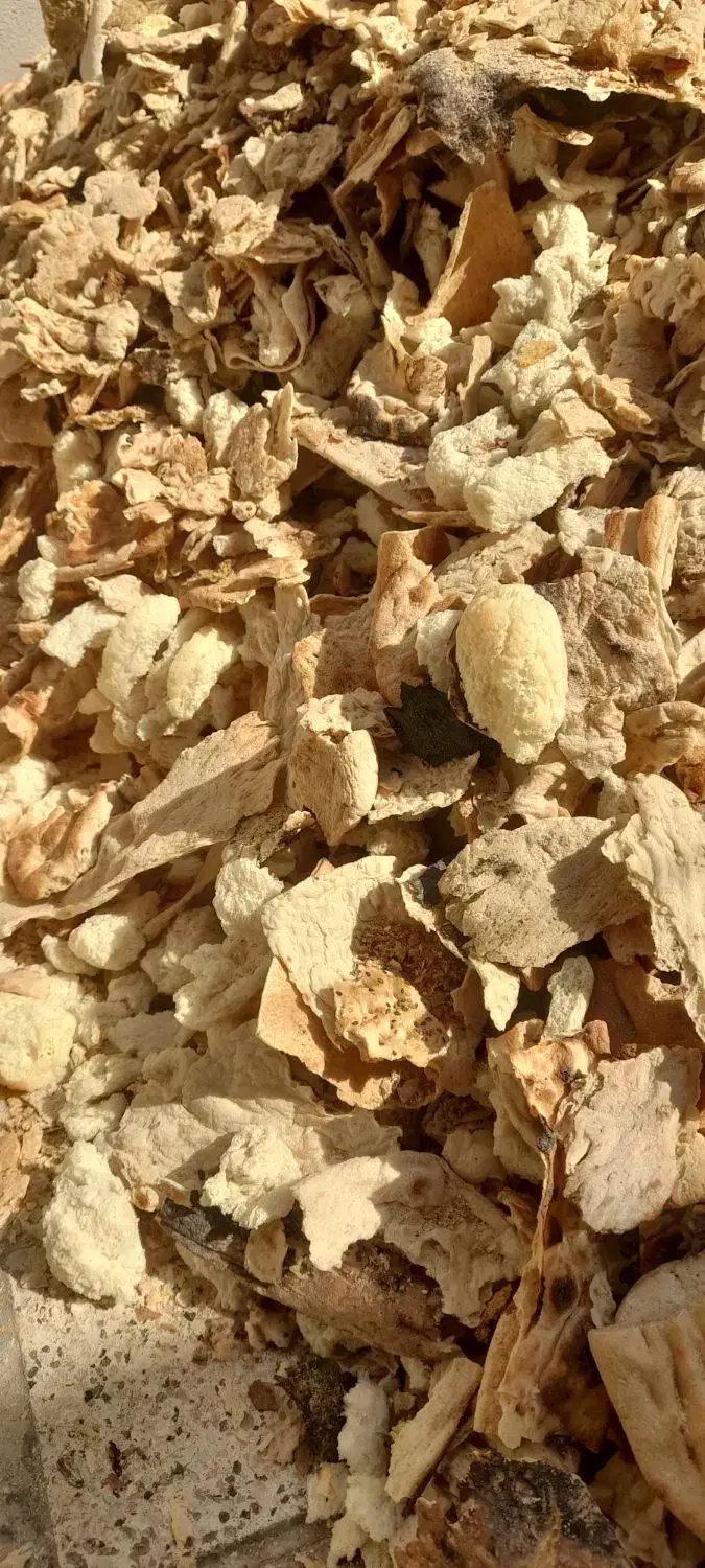 نان خشک دامی|لوازم جانبی حیوانات|رضویه, |دیوار