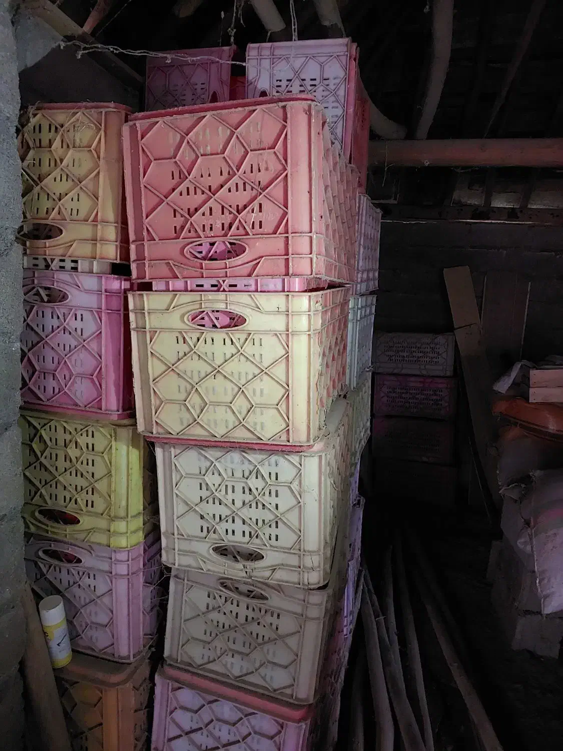 سبد مرغ|عمده‌فروشی|بندر انزلی, چهارفریضه|دیوار