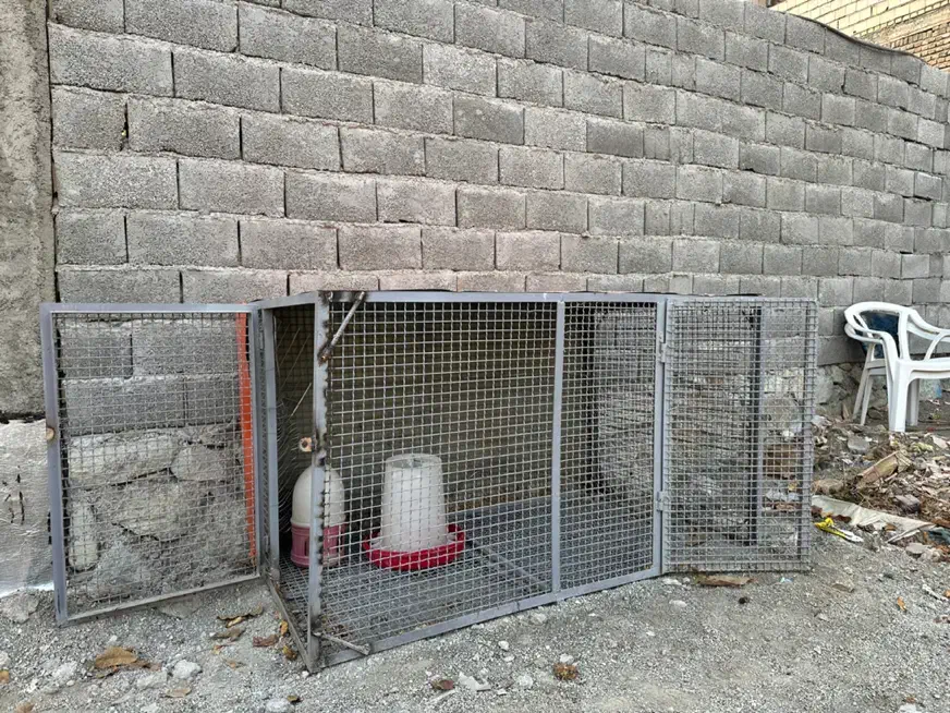 قفس|حیوانات مزرعه|کوهسار (البرز), |دیوار