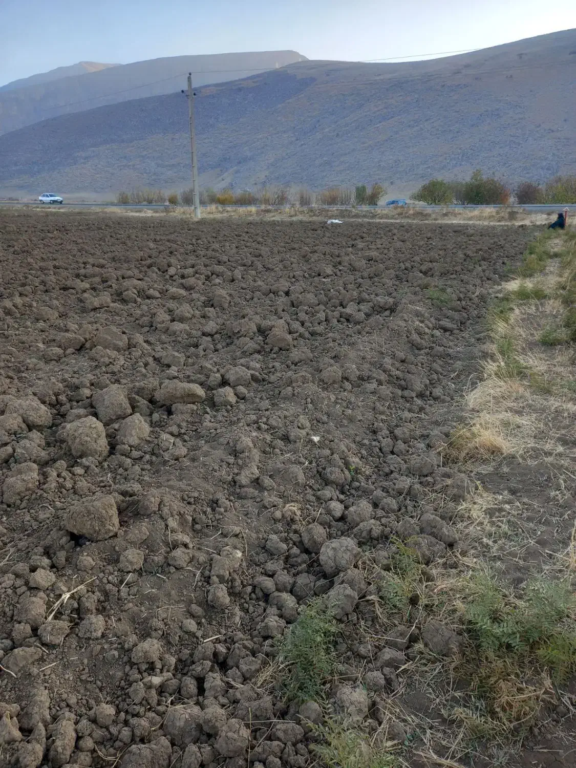 زمین کشاورزی|فروش زمین و ملک کلنگی|دینور, |دیوار