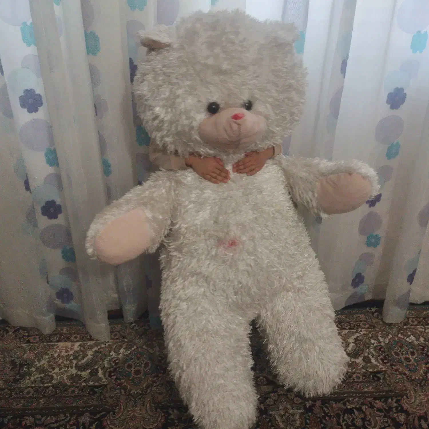 خرس|اسباب‌بازی بچه|مشهد, کوی دروی|دیوار