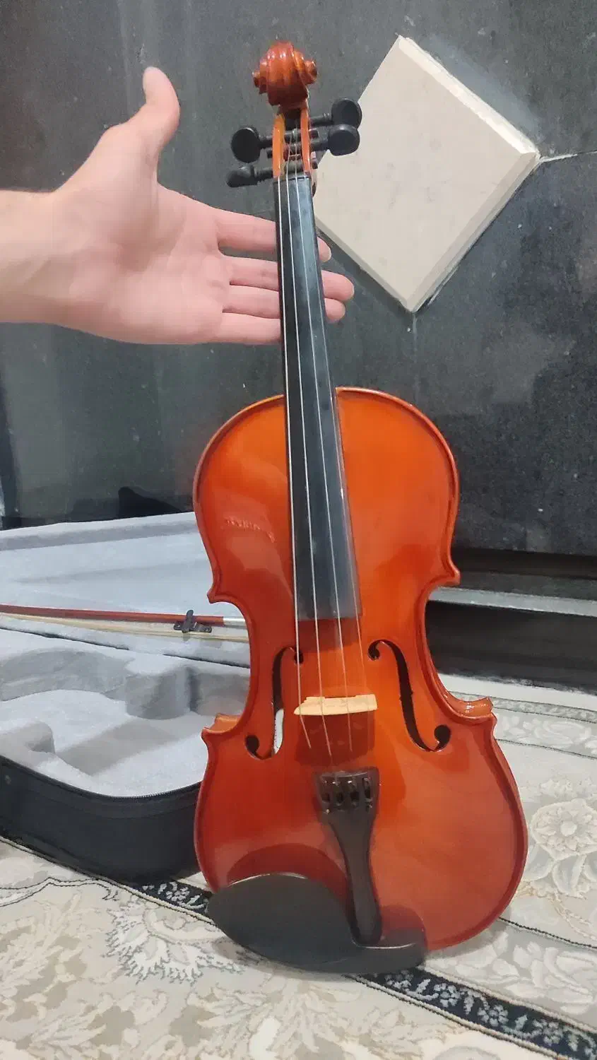 ویولون|ویولن|بوکان, |دیوار