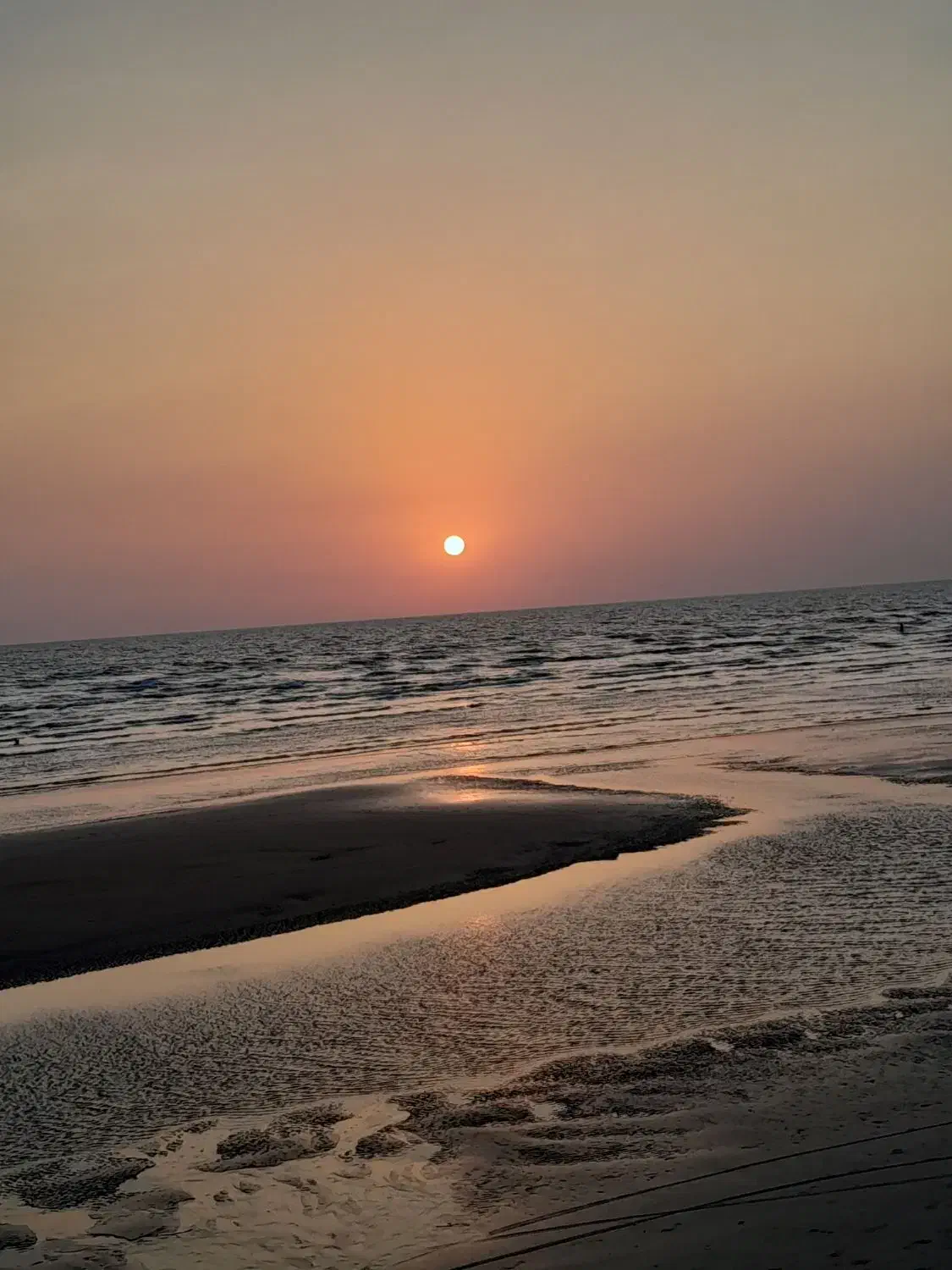 راهنمای|فعالیت داوطلبانه|بندر گناوه, |دیوار