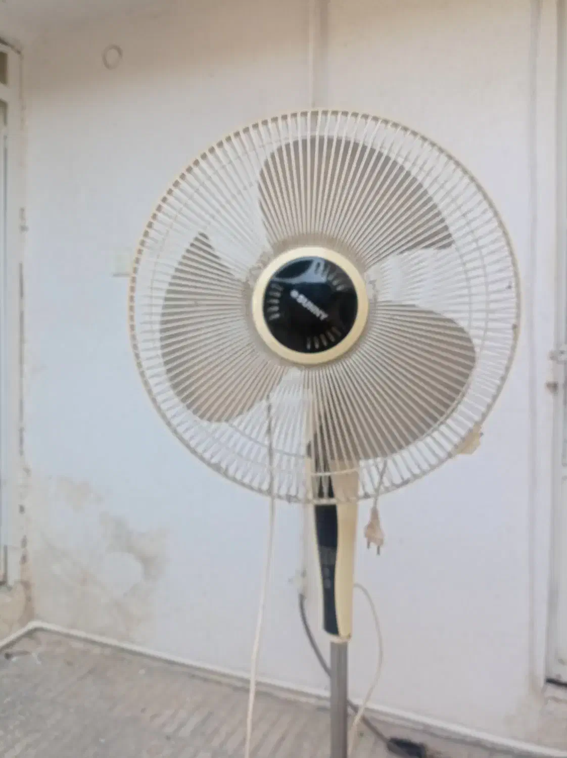 پنکه زمینی درحد نو|پنکه و تصفیه‌کنندهٔ هوا|گرگان, |دیوار