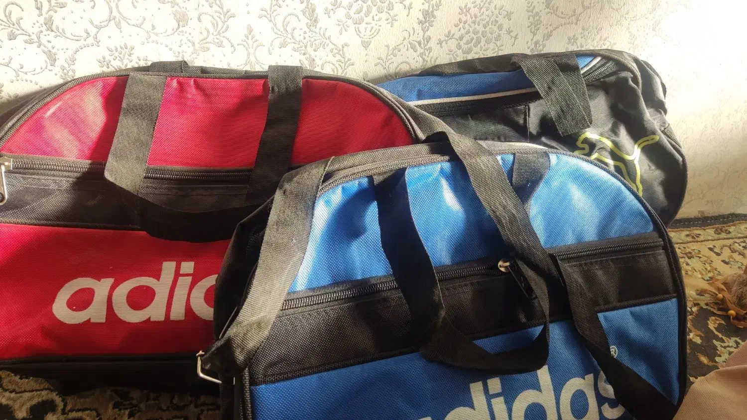 کیف|کیف، کفش، کمربند|قزوین, |دیوار