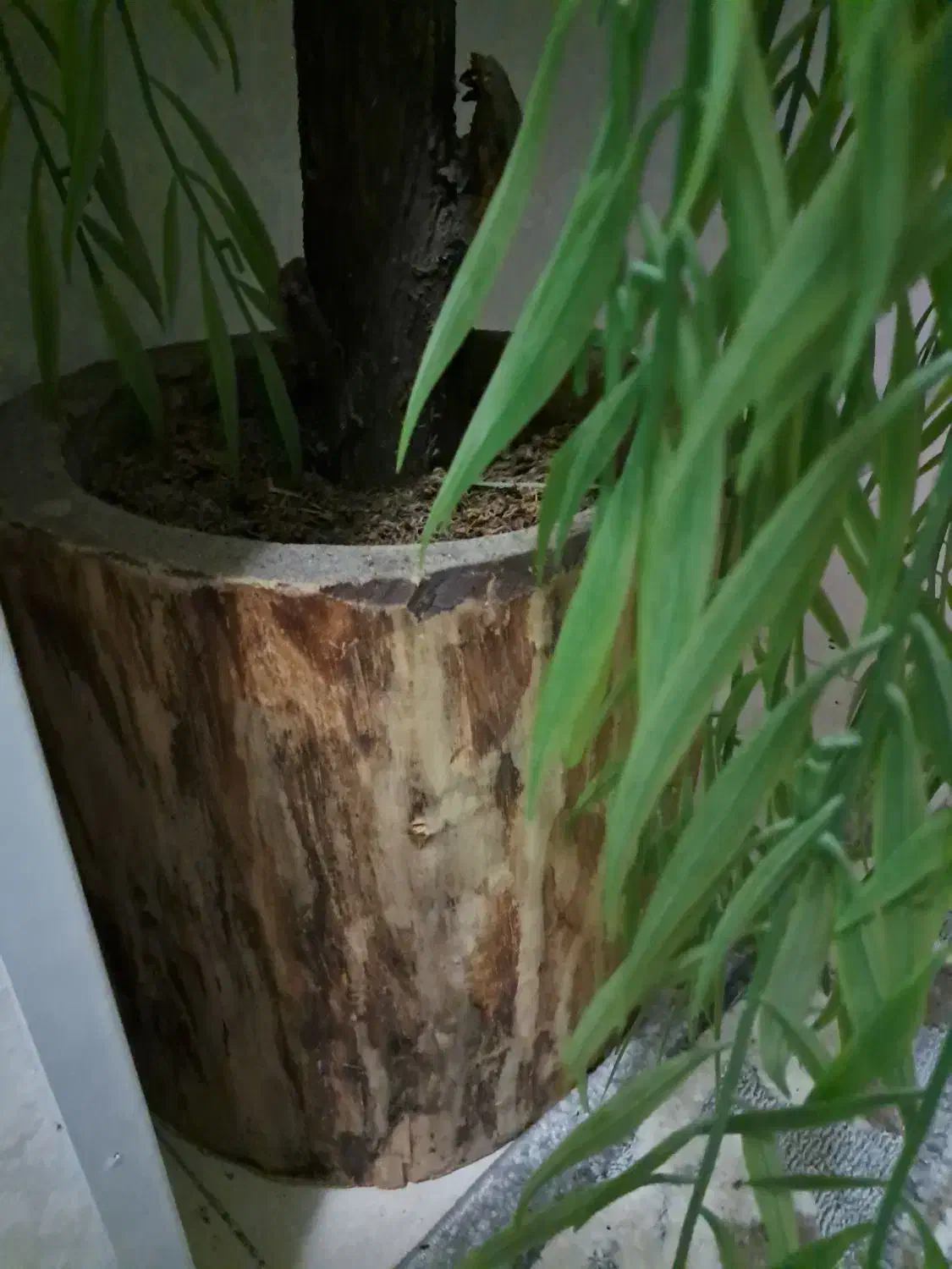 درخت مصنوعی|گل مصنوعی|مشهد, کوی المهدی|دیوار