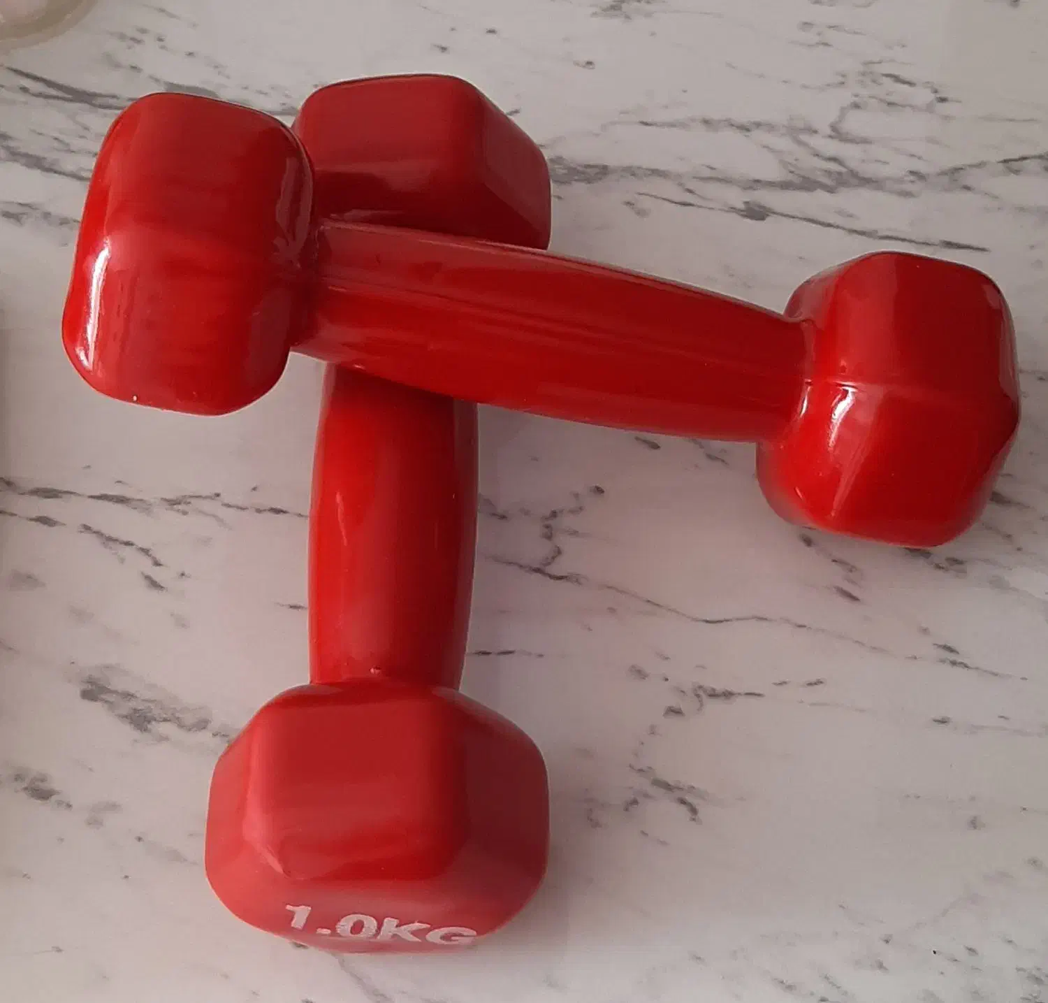 دمبل یک کیلویی روکش دار برند رکورد|تجهیزات ورزشی|تهران, جنت‌آباد مرکزی|دیوار