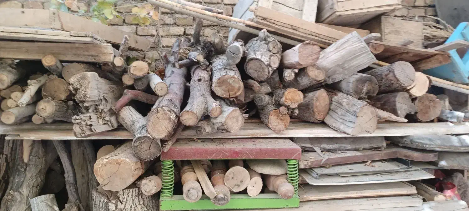 فروش چوب زغال و سوزوندنی و خاک اره به قیمت عمده|خدمات باغبانی و درختکاری|بروجن, |دیوار