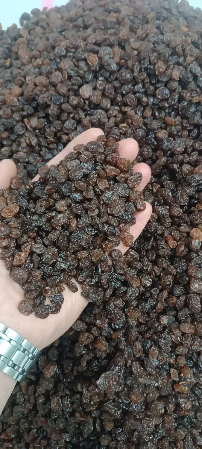 کشمش پلویی با قیمت مناسب|خوردنی و آشامیدنی|آذرشهر, |دیوار