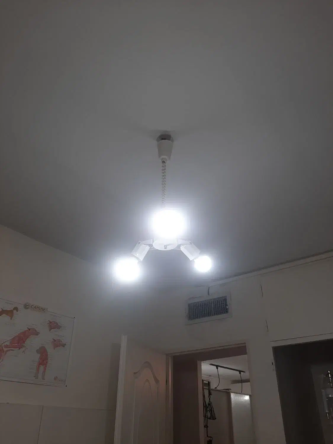 پروژکتور لامپی و لوستر سقفی|لوستر و چراغ آویز|تهران, اباذر|دیوار