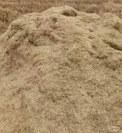 کاه سفید|لوازم جانبی حیوانات|نهاوند, |دیوار