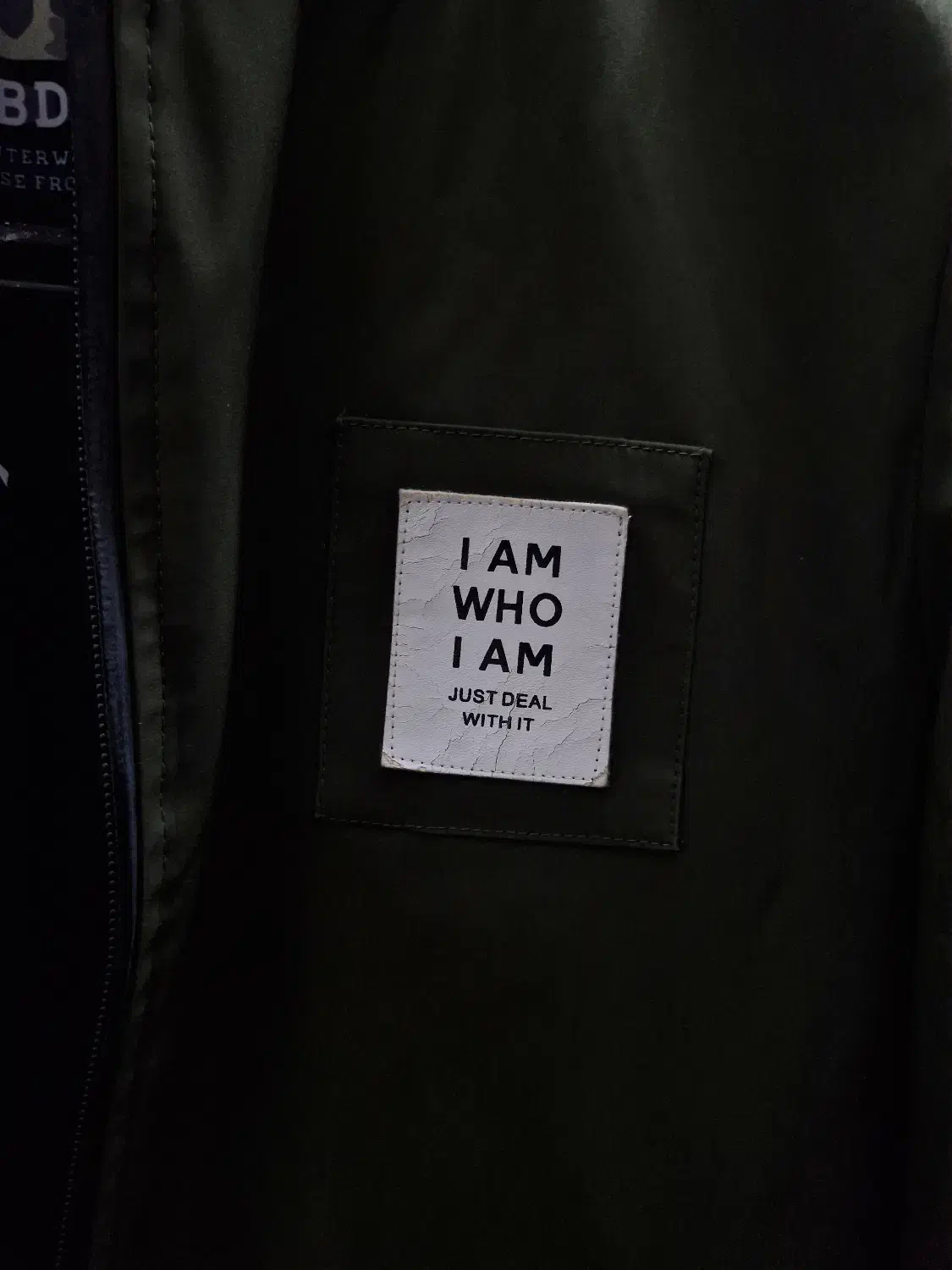 پالتو زنانه|لباس|آمل, |دیوار