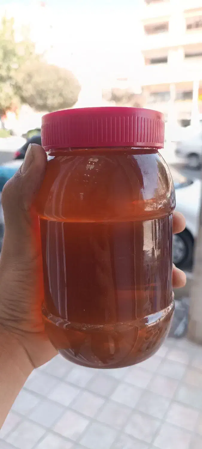 عسل کنار و گون تضمینی 400|خوردنی و آشامیدنی|شیراز, ارم|دیوار