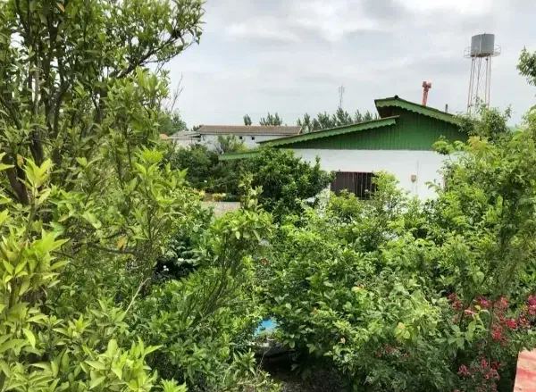 بجای زمین خالی میتونی این خونه کلنگی رو بگیری/نور|فروش زمین و ملک کلنگی|رامسر, |دیوار