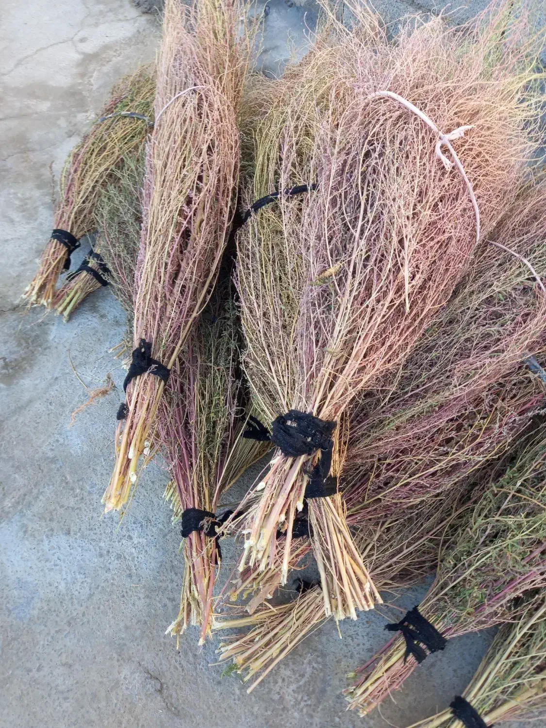 20دسته جارو دسته بزرگ روستایی کتوله ساری|لوازم نظافت|کوهدشت, |دیوار