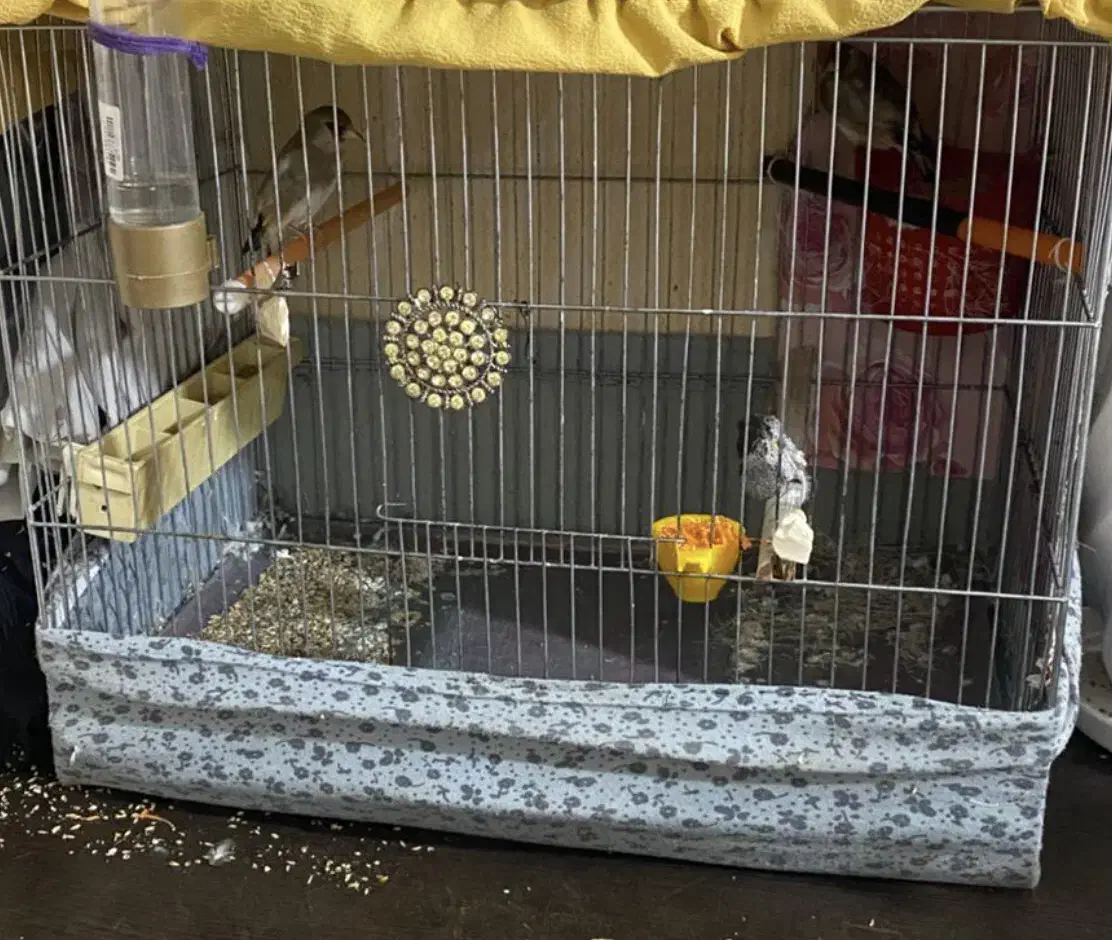 قفس معاوضه|لوازم جانبی حیوانات|تهران, علم و صنعت|دیوار