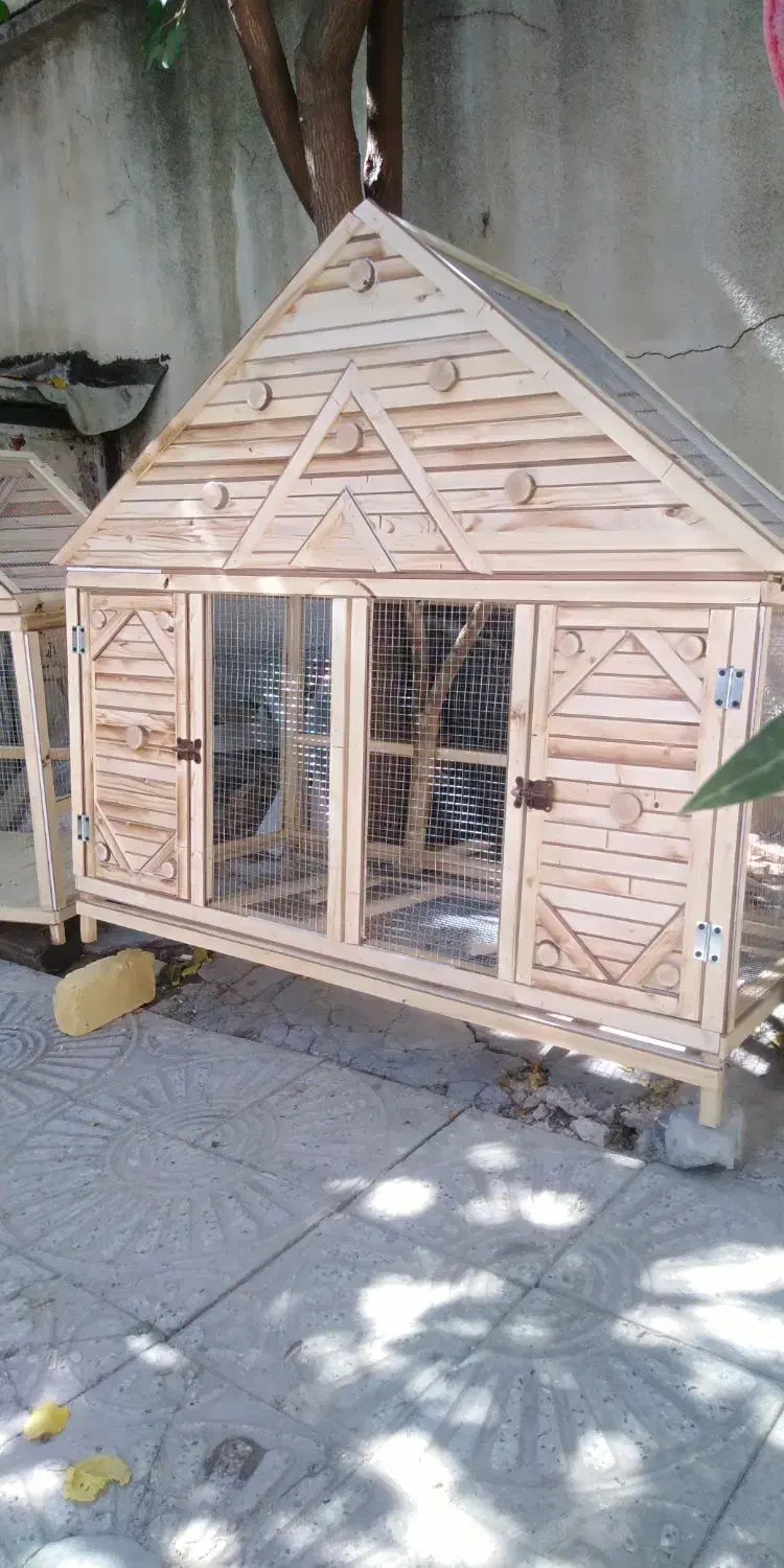 ساخت قفس چوبی|لوازم جانبی حیوانات|کرمانشاه, |دیوار