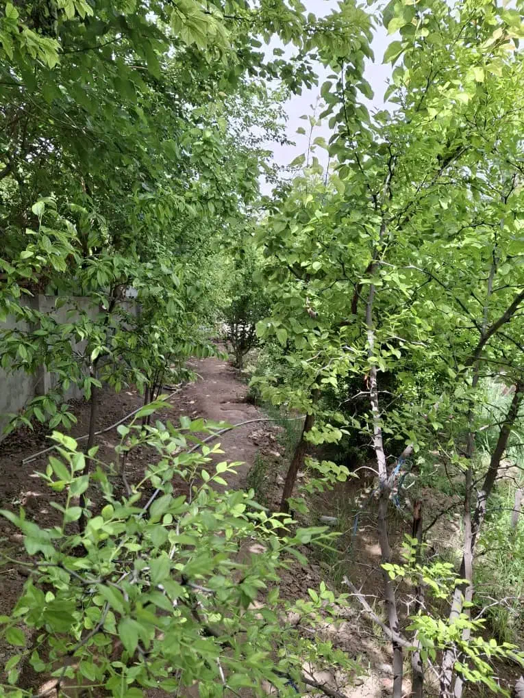 باغچه شهرری گلحصار( فروش رهن اجاره)|اجارهٔ خانه و ویلا|باقرشهر, |دیوار