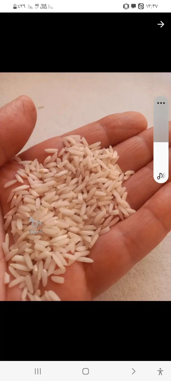 برنج|خوردنی و آشامیدنی|آمل, |دیوار
