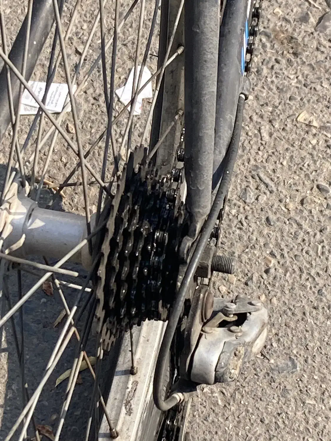 دوچرخه۲۶|دوچرخه، اسکیت، اسکوتر|تهران, سوهانک|دیوار