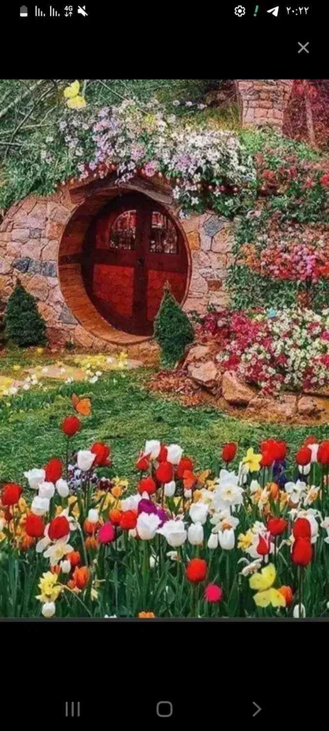 راهنمایی|فعالیت داوطلبانه|نجفآباد, حومه نجف آباد|دیوار