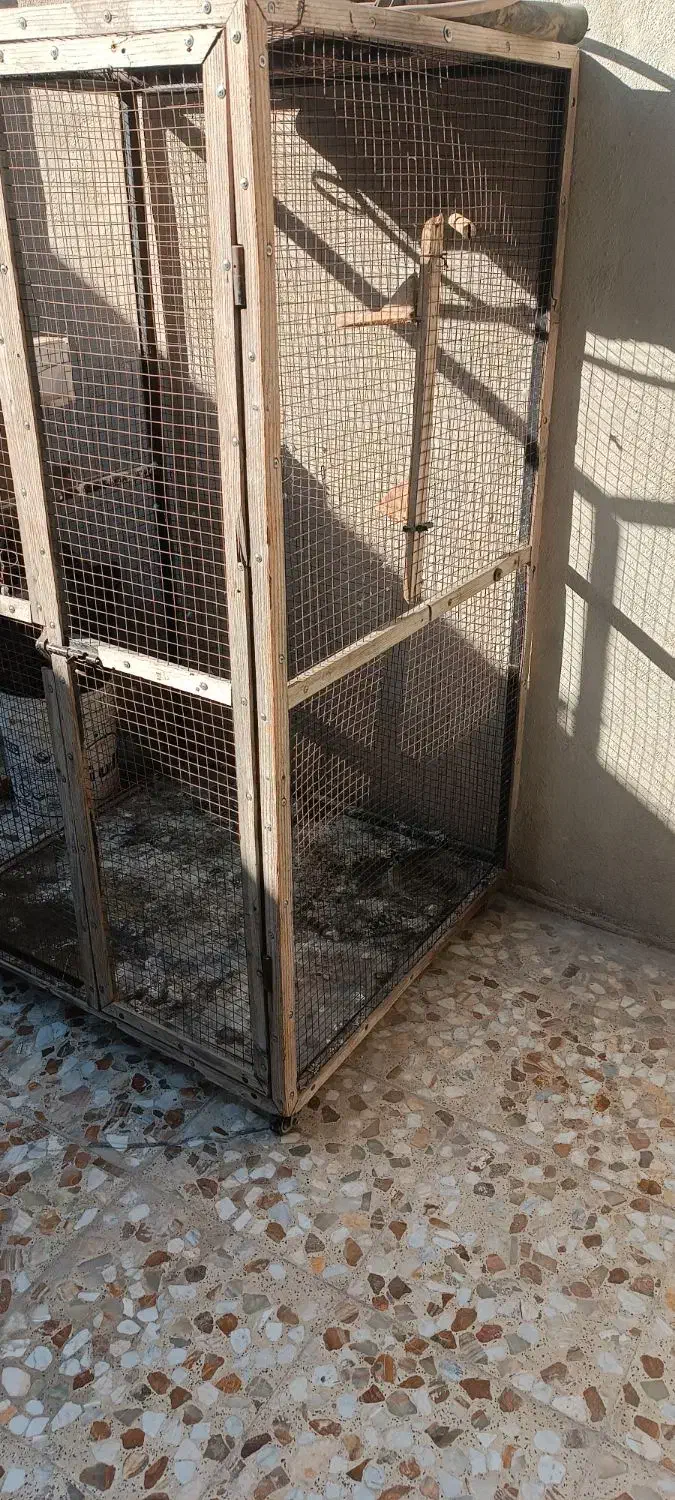 قفس.گنجه. قفس پرنده و کبوتر|لوازم جانبی حیوانات|کازرون, |دیوار
