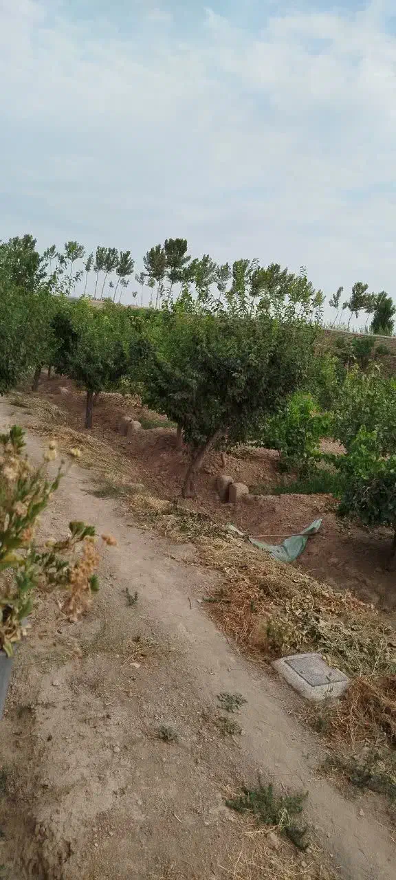 کارگر باغ|استخدام سرایداری و نظافت|رامجین, |دیوار