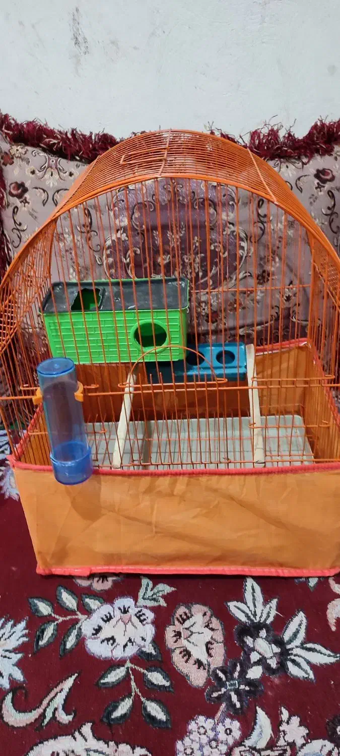 قفس|لوازم جانبی حیوانات|بندر کنگان, |دیوار