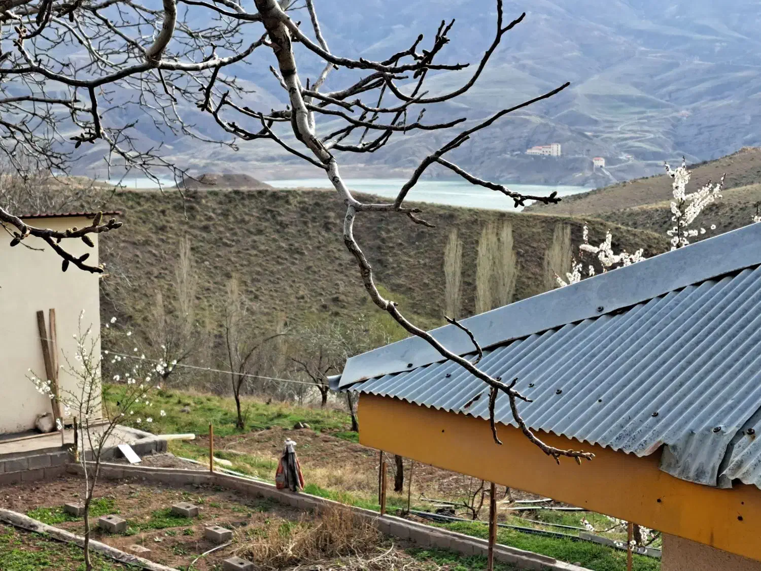 طالقان ۶ هکتار مناسب ویلا سازی|فروش زمین و ملک کلنگی|طالقان, |دیوار