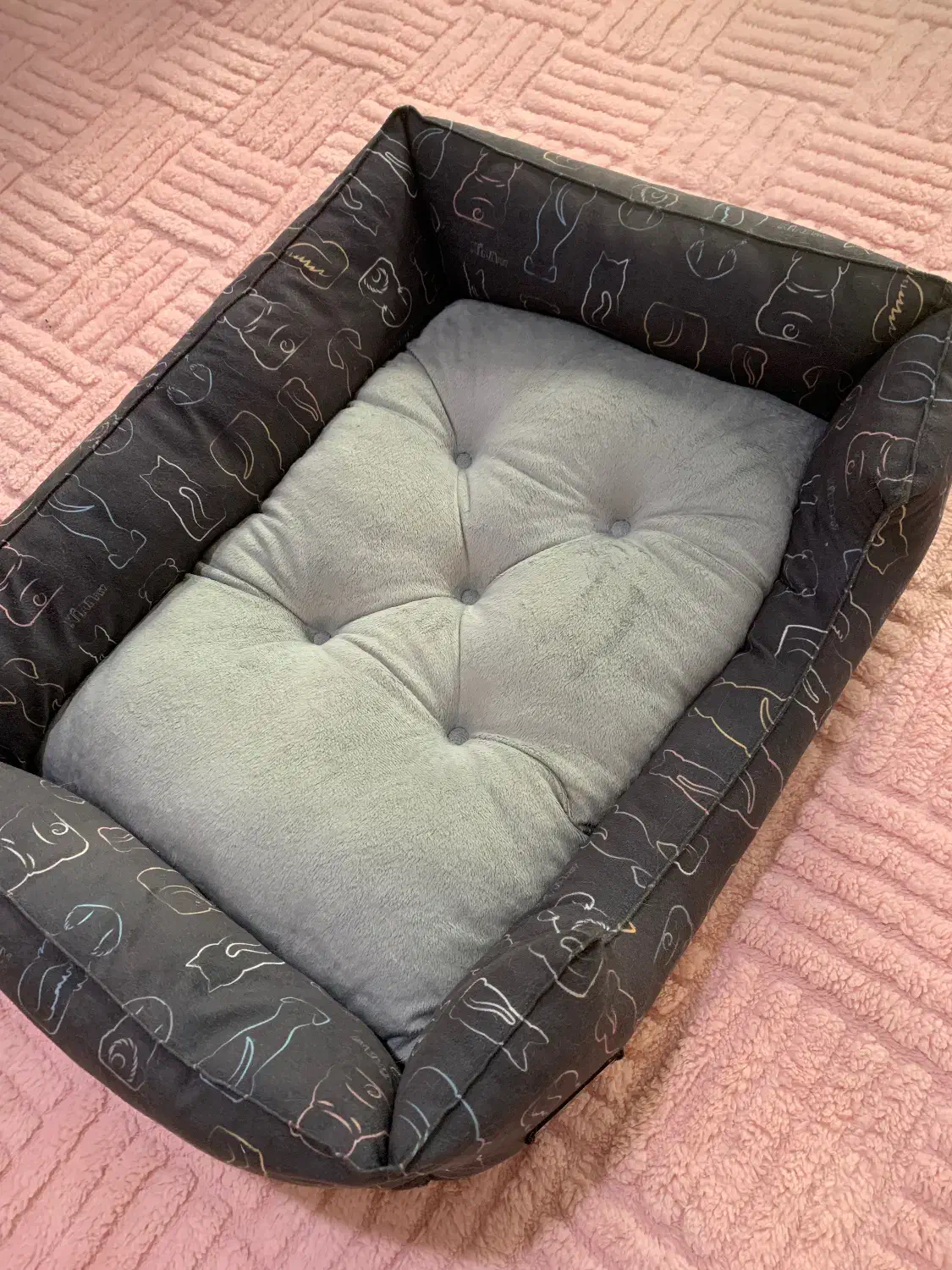 جای خواب گربه سگ|لوازم جانبی حیوانات|رشت, کوی عرفان|دیوار