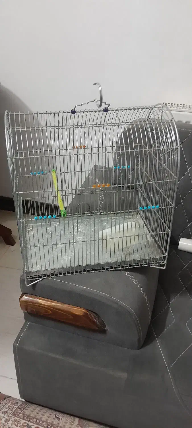 قفس کاملا سالم و نو|پرنده|کاشان, فاز ۱ ناجی آباد|دیوار