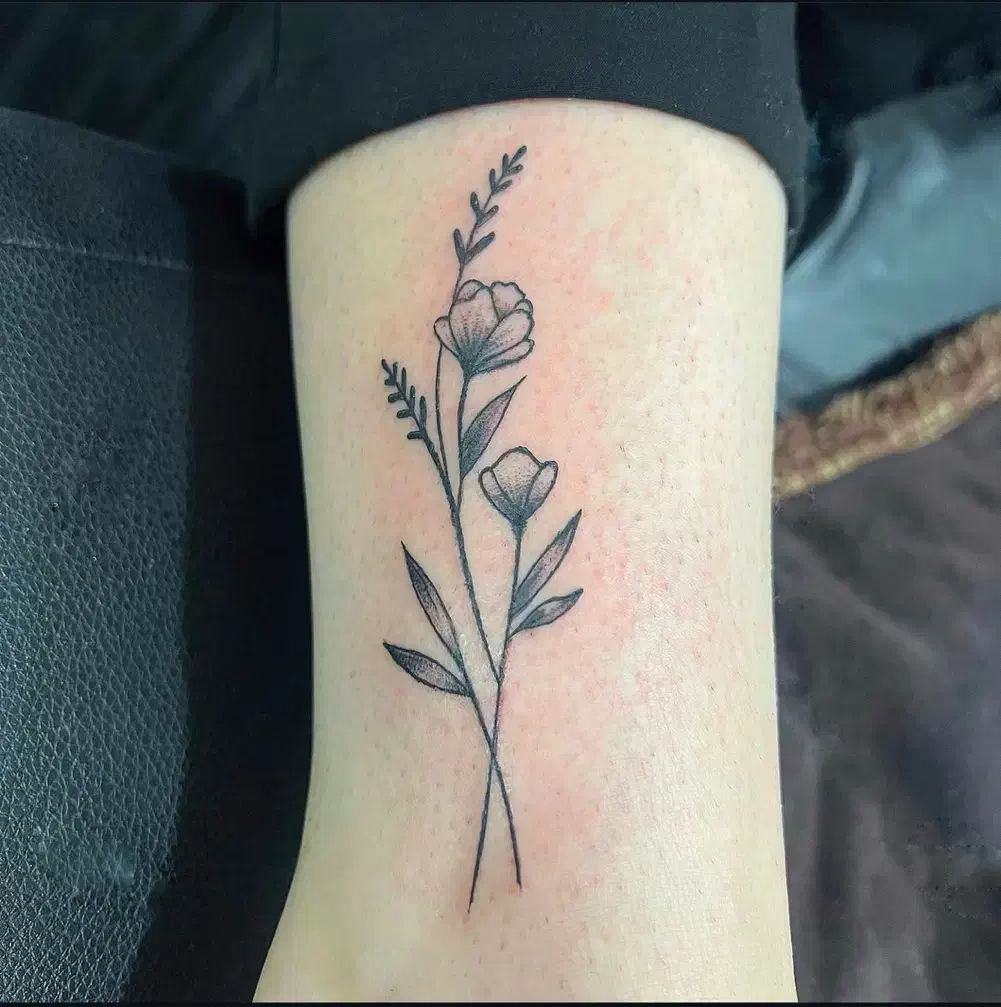 آموزش آرایش دائم/شیدینگ لب/فیبروز ابرو/خط چشم وتتو|خدمات آرایشگری و زیبایی|شاهین‌شهر, عطار|دیوار