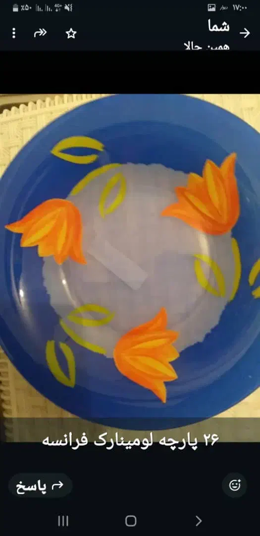 ظروف آرکوپال اصل فرانسه|ظروف سرو و پذیرایی|اصفهان, ارغوانیه|دیوار