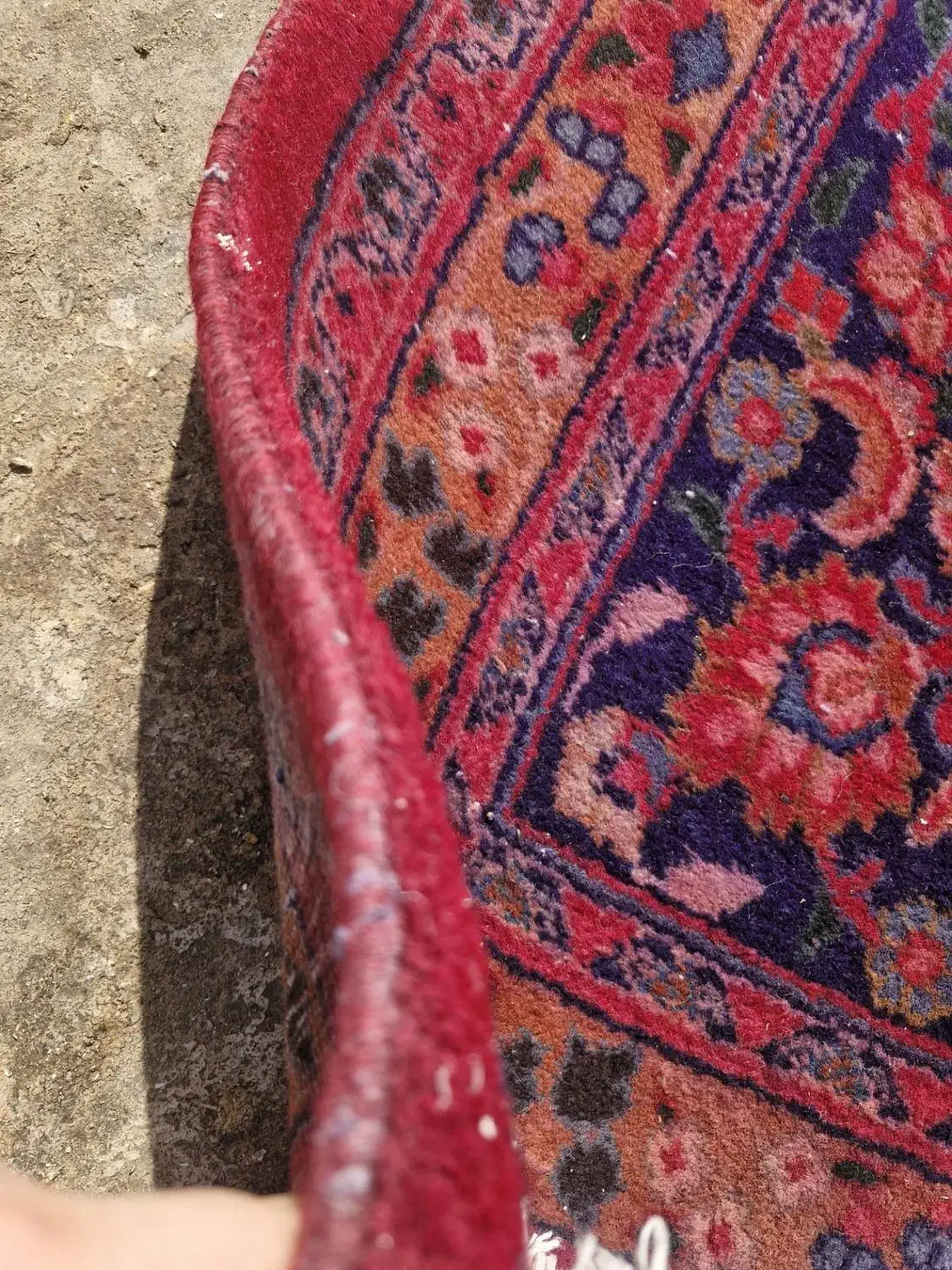 فرش دستباف|فرش|سبزوار, طبرسی (جعفرآباد)|دیوار