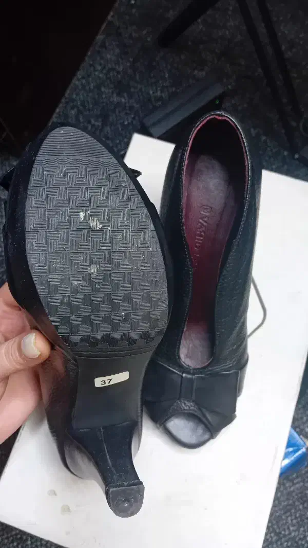 کفش چرم|کیف، کفش، کمربند|نشتارود, |دیوار