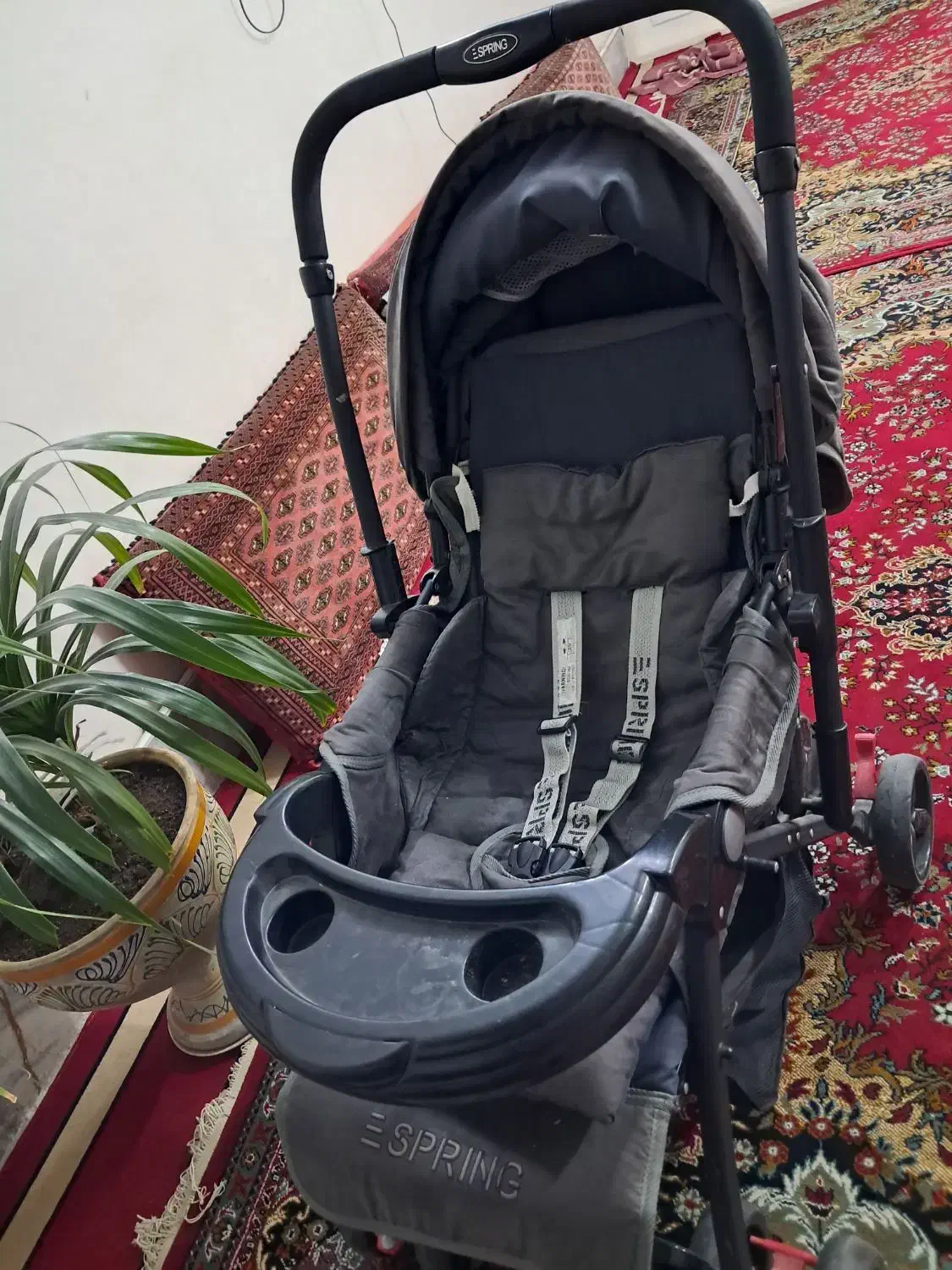 کالسکه|کالسکه و لوازم جانبی|مشهد, انقلاب|دیوار