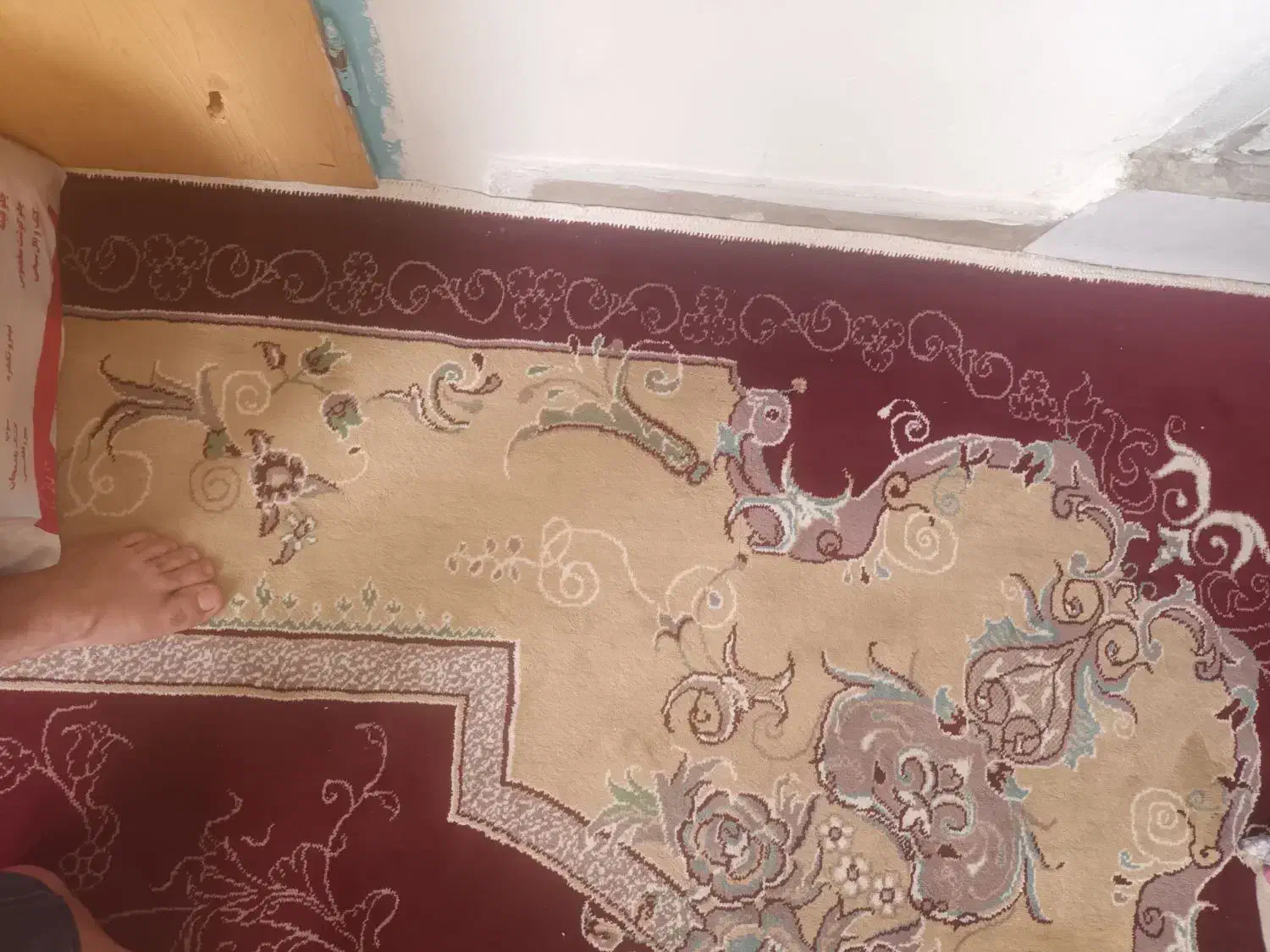 فرش 12 متری|فرش|آفتاب, |دیوار