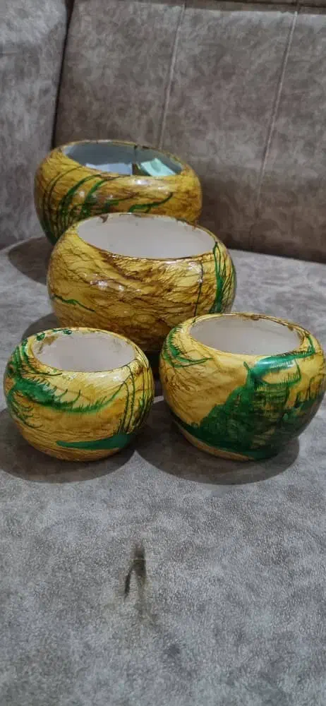 گلدون|گل و گیاه طبیعی|قم, قلعه یزدیها|دیوار