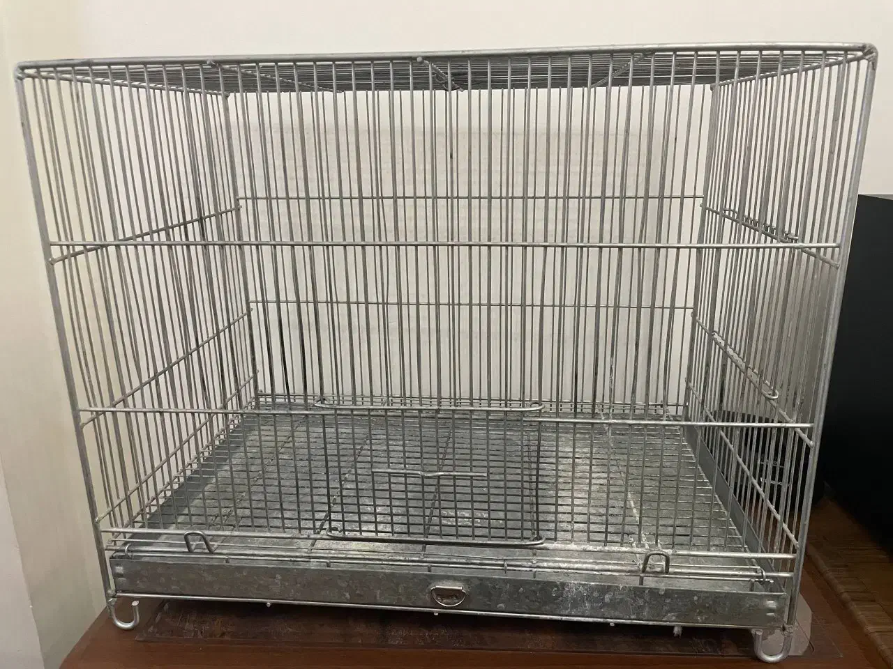 قفس پرنده محکم|لوازم جانبی حیوانات|سهند, |دیوار